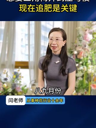 立秋后#月季 开始长新芽嫩芽之前,就要抓紧时间给他们补一次氮肥,为月季开花打下坚实基础#养花小知识 #花卉绿植 #