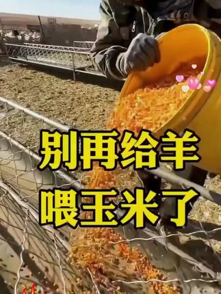 养殖人必备这一袋