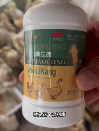 温立康斗鸡蛋鸡蛋鸭蛋鹅鸽子一年四季都健康药家禽家畜病都在用誉小聪温立康