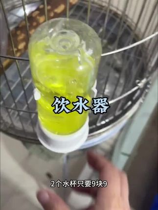 鸟用饮水器八哥鹦鹉饮水器 鹦鹉可以装水装粮2用