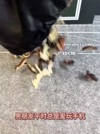 如果你想让男朋友远离电脑,给他试试这个