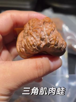 正宗精品老树延庆蛤蟆头核桃文玩金蟾狮子头闷尖蛤蟆头核桃精品有腿有眼