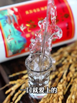 正宗客家米酒 50度米香型白酒 醪糟蒸馏高度公文包酒 100%纯粮食酿造酒,好喝不辣喉不头疼,无论自饮还是送礼都合适!