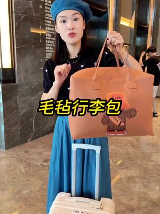 新款网红可爱毛毡手提包伴手礼便携休闲时尚百搭简约手拎包韩版