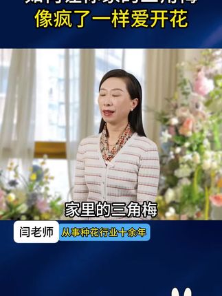 三角梅出现黄叶烂根?给它浇这种水很快就会枝繁叶茂!#三角梅植物再生剂