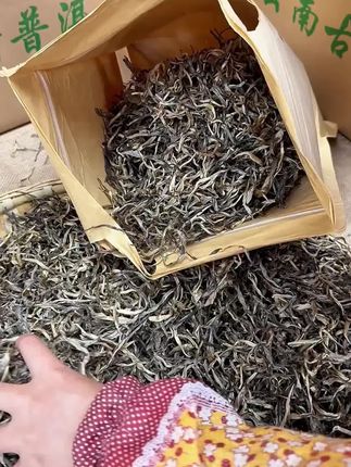 【云南普洱生茶】2025春茶,产自忙麓山核心产区,香甜顺滑茶叶!