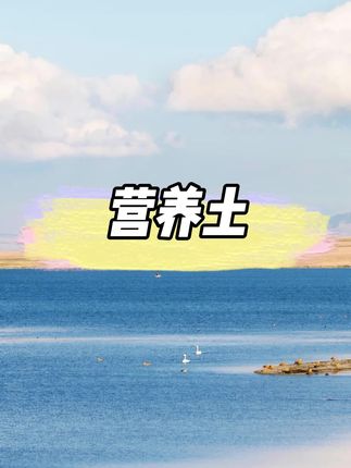 通用型泥炭营养土,种花种菜专用土疏松透气