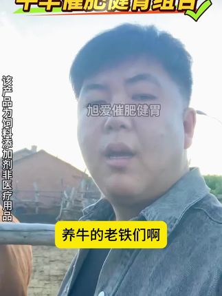 牛羊催肥育肥拉骨架,牛吃得多长肉快