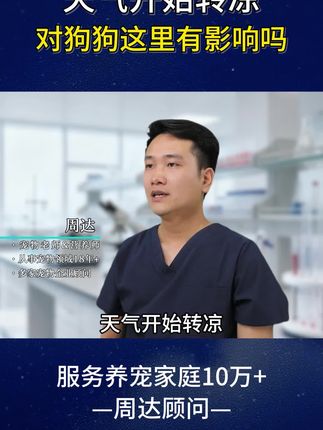 拜达尔【超值活动】辅酶Q10宠物营养保护心脏健康猫狗用养心护心#拜达尔宠辅Q10 #一招打开宠物的清凉夏天