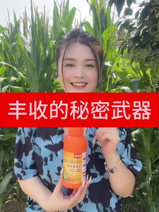 玉米金大棒叶面肥