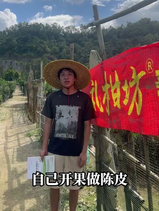 自家果园新会柑上门与邮寄流程(内带价格表) #新会柑 #新会陈皮 #自家果园