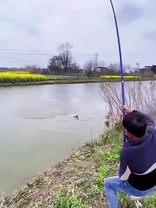周小二进口东丽原丝钓鱼线主线子线柔软耐磨强拉力钓鲤鲫鱼防缠绕#原丝钓鱼线#拉力钓鱼线 #耐磨钓鱼线 #防缠绕钓鱼线