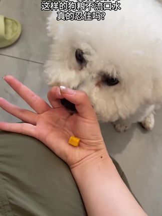 这年头还有人不知道这么顶的犬粮吗#萌宠好物 #狗粮推荐 #网易天成专业好宠粮