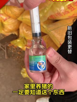 #猪牛羊#养猪人#养殖场#养殖小妙招