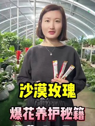 沙漠玫瑰种植方法,教你沙漠玫瑰如何快速开花