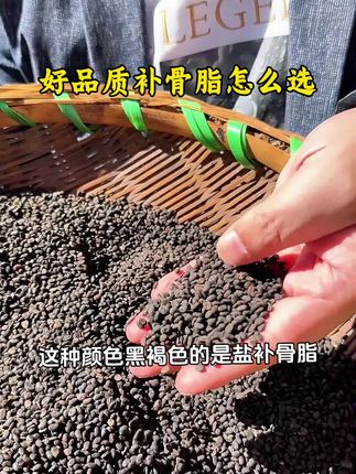 补骨脂应该怎么选?