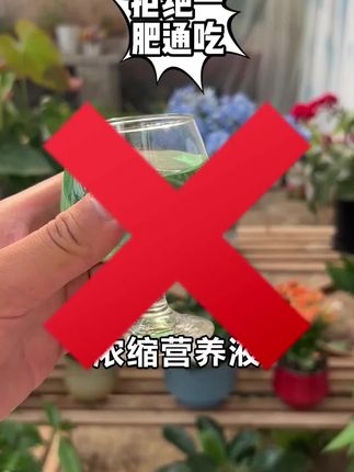 植物也跟人一样,缺什么补什么,就会长得好,普通人也能轻松操作