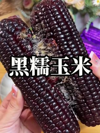 吃一次就爱上的糯香黑玉米,软糯香甜!早餐晚餐当作主食,好吃健康又有营养