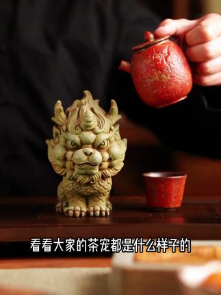 像这样的麒麟茶宠是怎么样养出来的呢? #茶宠 #茶宠摆件 #茶宠小摆件 #鱼缸造景 #高档茶室摆件