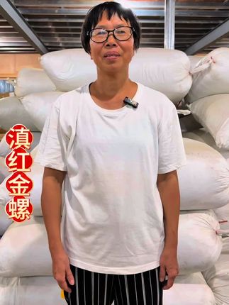 【严选好茶】爆款滇红金螺嫩芽蜜香红茶,浓香耐泡 云南凤庆滇红250g/500g袋装