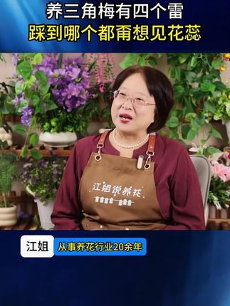 三角梅梅花专用肥料通用盆栽有机花肥促生长改善土壤颗粒缓释底肥#三角梅专用肥 #梅花肥料 #通用有机肥