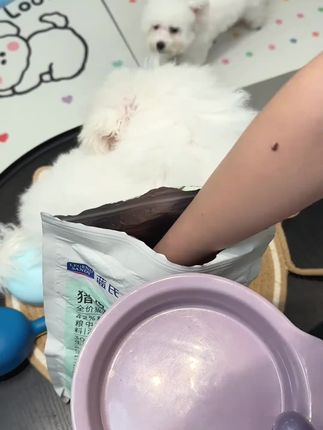 我才发现这个超便宜的 #宠物粮勺 #萌宠好物 #新手养猫 #猫粮勺 真是便宜又实用#粮勺