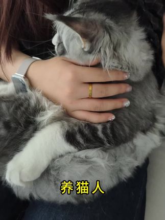 创新长效配方!结团更小更干硬,有效延长整盆使用时间! #记录猫咪日常 #萌宠出道计划 #吉宠纪 #亚宠展 #猫砂