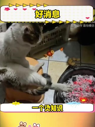 但凡你早点知道这个#国货 ,也不至于被#黑头 #闭口 困扰这么多年!#一花一个新世界 #护肤 #痘痘 #植祛洗面奶 #祛痘