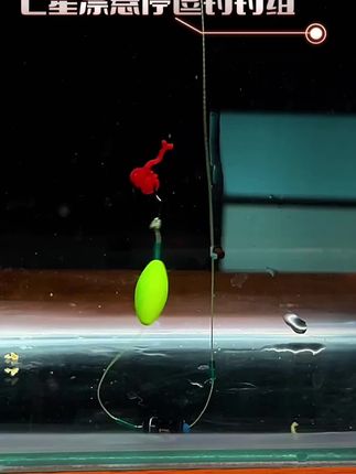 新款反底传统七星漂大力马鱼线免调漂线组套装悬浮逗钓鲫鱼草鱼