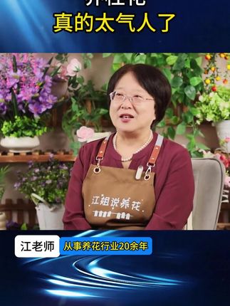 如果你想把桂花养好,这些口诀要记住,桂花养护好,也要好肥料#庭院 #花卉绿植