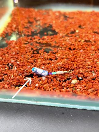 新型快速可拆卸铅坠刻度咳嗽铅滑铅抗防走水跑铅子线防缠绕滑漂