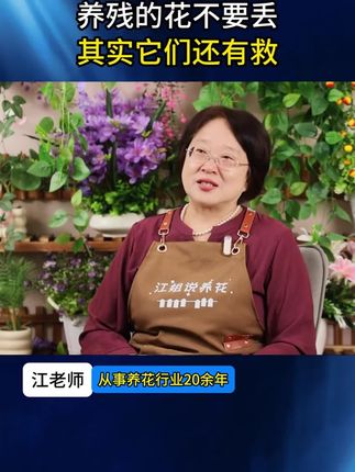 想要植物枝繁叶茂开花多,一定要用上这个再生剂#家庭园艺