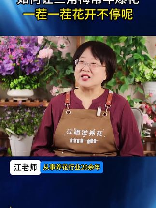 三角梅梅花专用肥料通用盆栽有机花肥促生长改善土壤颗粒缓释底肥#三角梅专用肥 #梅花肥料 #通用有机肥