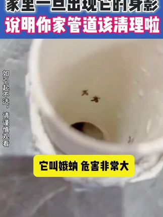夏天到了,管道不清理就会滋生很多虫卵,等飞出来就已经泛滥成灾了,赶紧试试这个#除虫卵泡泡粉!有效杀灭率高达99%