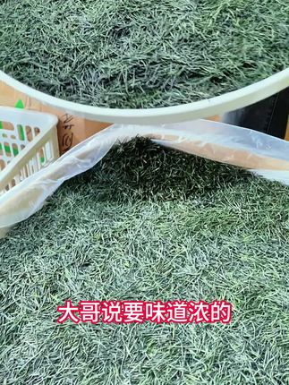 低价口粮茶,沙口耐泡,好喝不贵,一斤只需两位数价格#召唤茶友#信阳毛尖#茶叶直播#春茶采摘#2025新茶#新茶上市