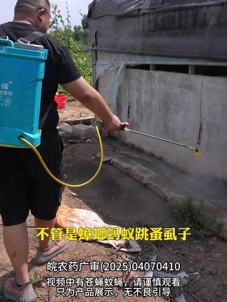 养殖场专用灭蝇药 | 高效触杀 快速灭蝇