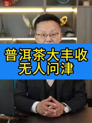 超大份量!足足1000g的正宗云南普洱生茶,还要送您3个渐变汝窑主人杯,不好喝包退!