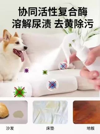 宠物剂 有效去尿味 猫咪狗狗猫尿狗