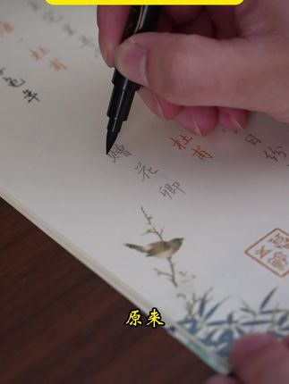 如果你或者你家孩子在练字画画,这款秀丽笔千万别错过,写字自带笔锋,软硬兼施,轻松写好字!