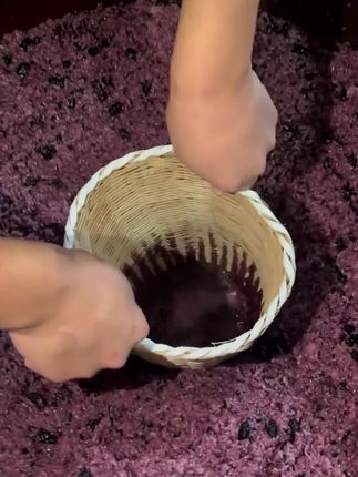 低度米酒适合微醺新手!不用担心喝醉,小口抿着喝,米香在嘴里散开,放松又解压。
