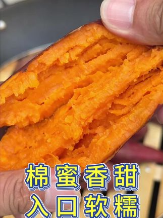家里有老人的注意了!这款红薯超好吃,软糯香甜,糖度刚刚好,带给你一个健康好的生活!