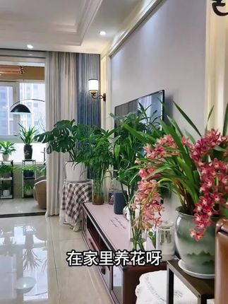 有了这个#植物营养液 ,再也不担心花苞不开花, 绿植黄叶掉叶了,操作简单,温和不伤苗,效果杠杠滴!