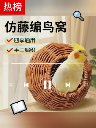 看我给鸟笼安的这个空调房,温度瞬间降下来好几度!#鸟窝 #鹦鹉鸟窝 #鸟笼鸟具