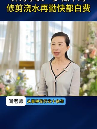 种月季一定要用这款#月季肥