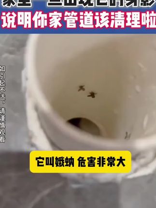 夏天到了,管道不清理就会滋生很多虫卵,等飞出来就已经泛滥成灾了,赶紧试试这个#除虫卵泡泡粉!有效杀灭率高达99%
