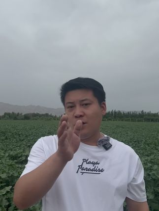 你还在为落桃落铃烦恼吗?疆域汇保铃先锋来帮您,1瓶能用20亩,成本只要几块钱