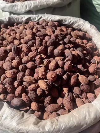 正宗云南大草果厨房调料大全颗粒草果粉香料商用卤料炖肉家用特级