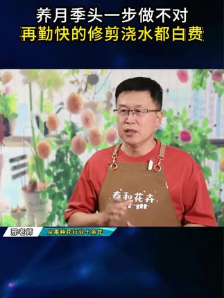 种月季一定要用这款#月季肥