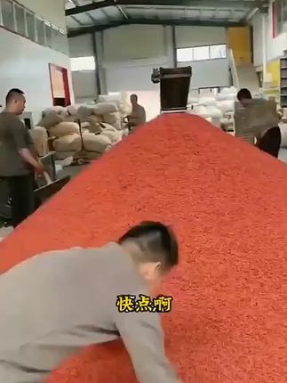 枸杞我家里是常备的不管泡水还是熬汤甚至吃火锅我都喜欢扔几粒这个干吃也特别好吃_宁夏枸杞 _美食推荐
