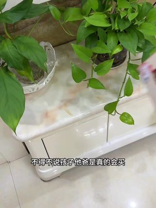 一口四家优质软胶双向惯性回力萌宠小汽车学爬玩具联系客服享优惠